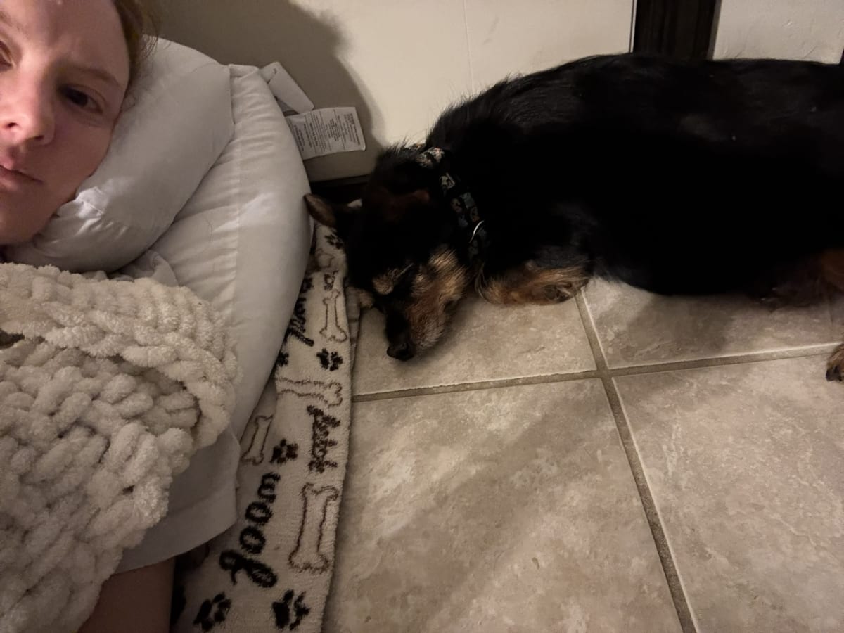 This is my favorite spot and sometimes mommy likes to join me