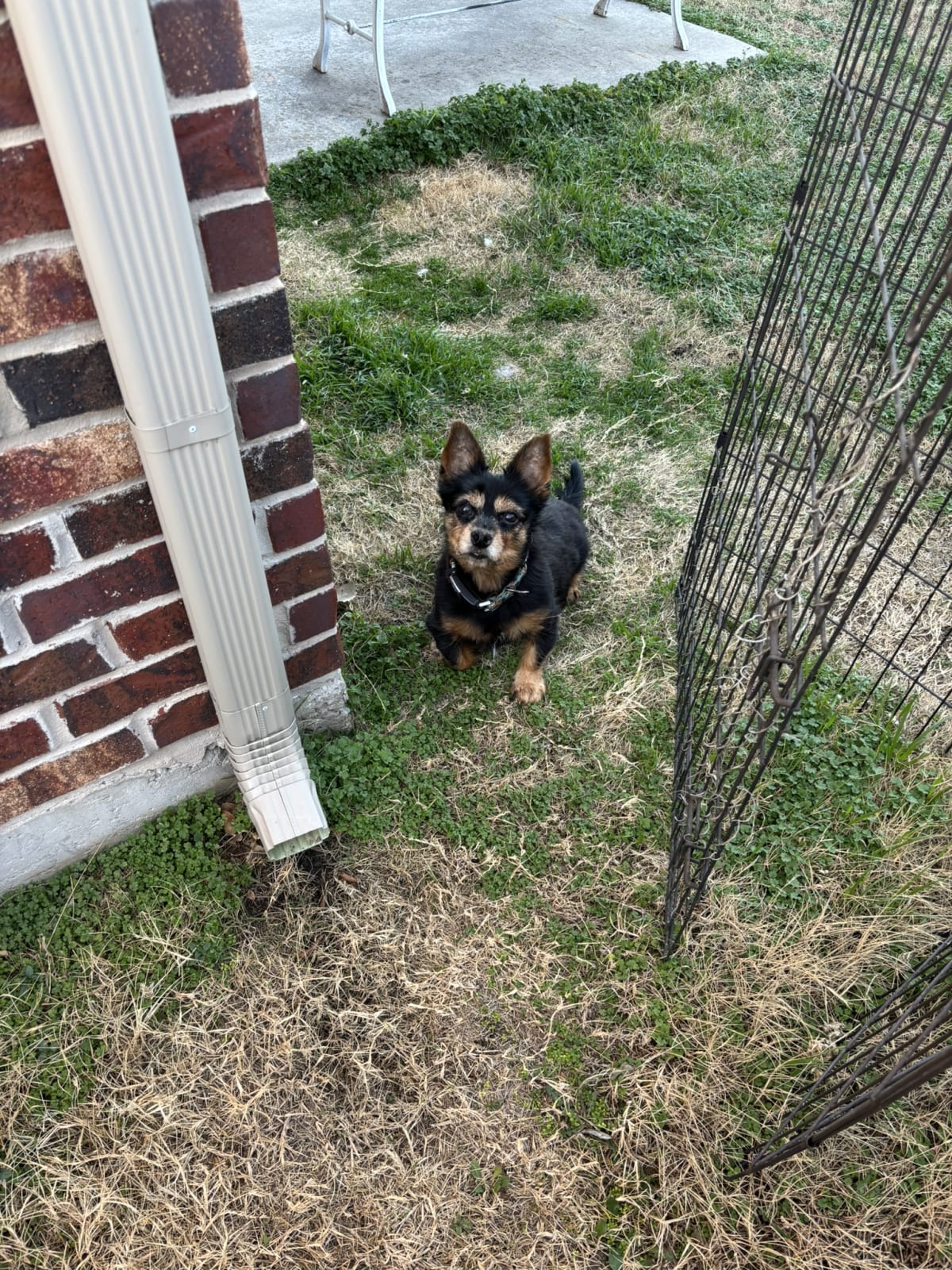 Giving mommy the cutest faces