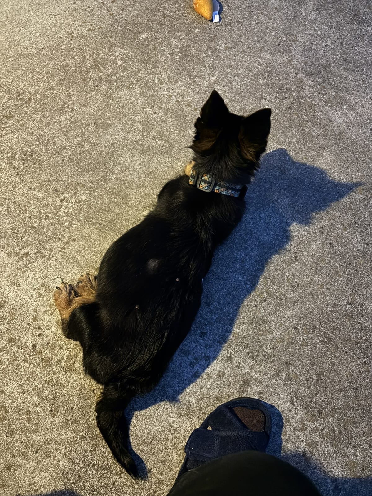 Doing one of my all time favorite activities, watching and hunting bugs with mommy