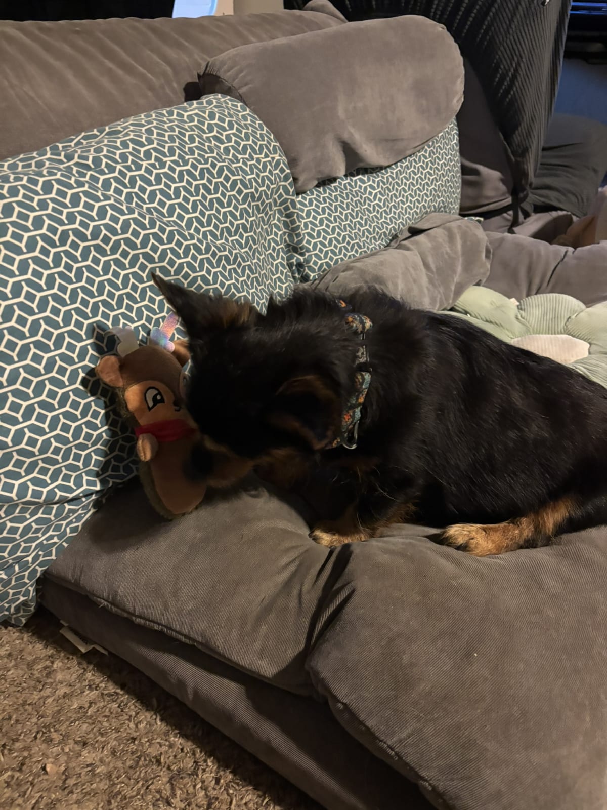 Playing with the new toy grandma got me!