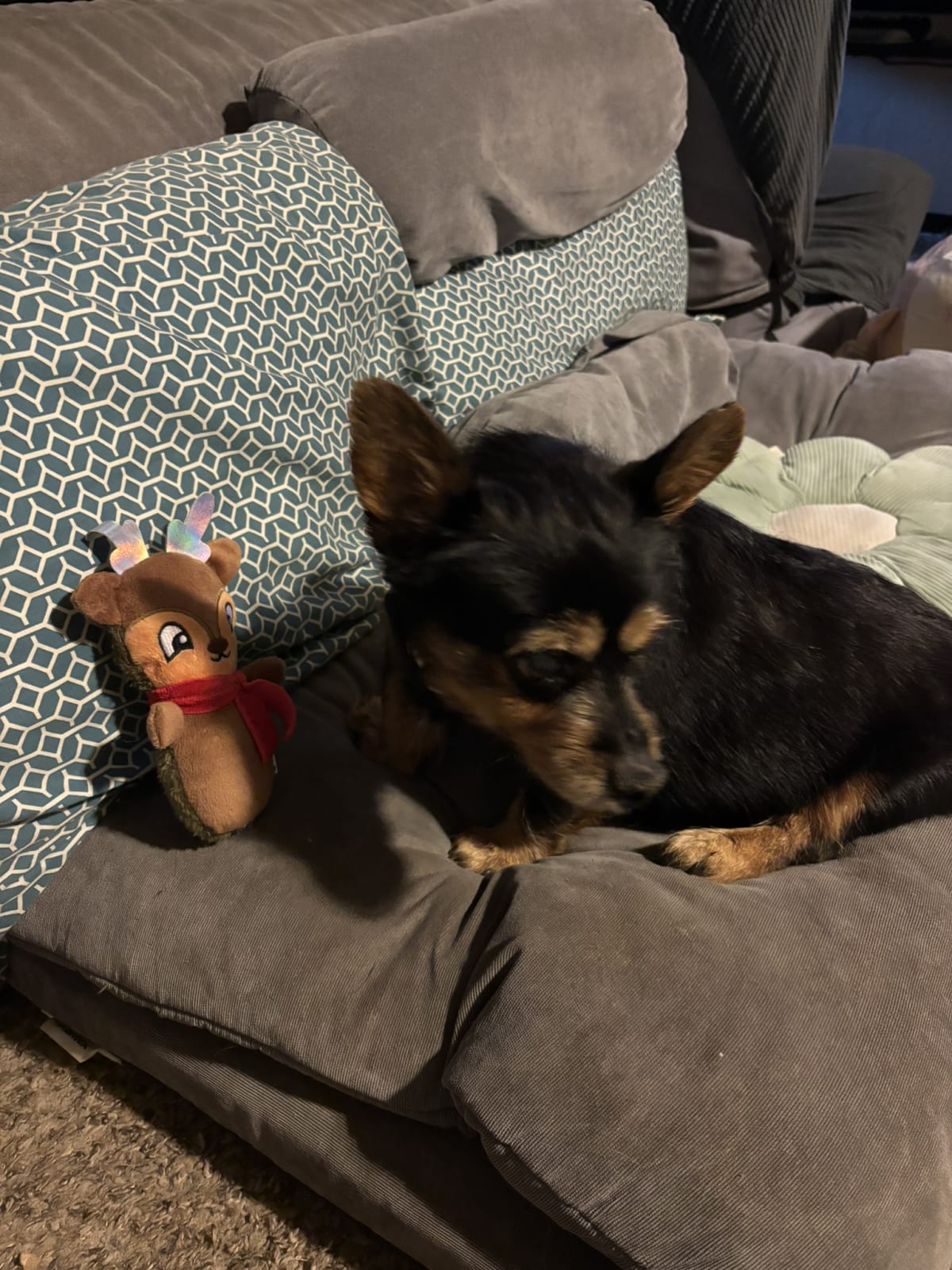 Playing with the new toy grandma got me!