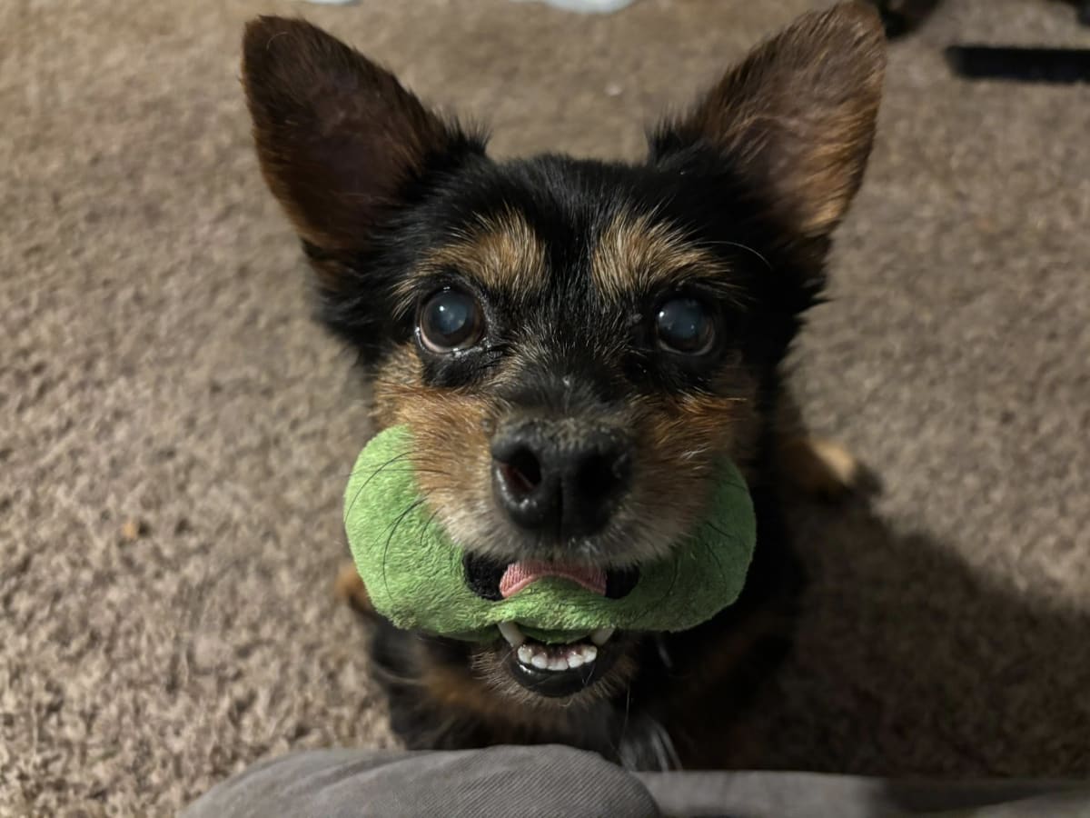 waiting for mom to play!