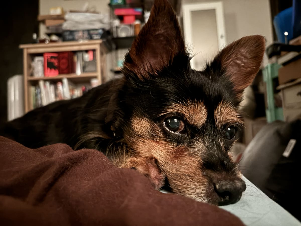 Looking into mommy's soul first thing in the morning