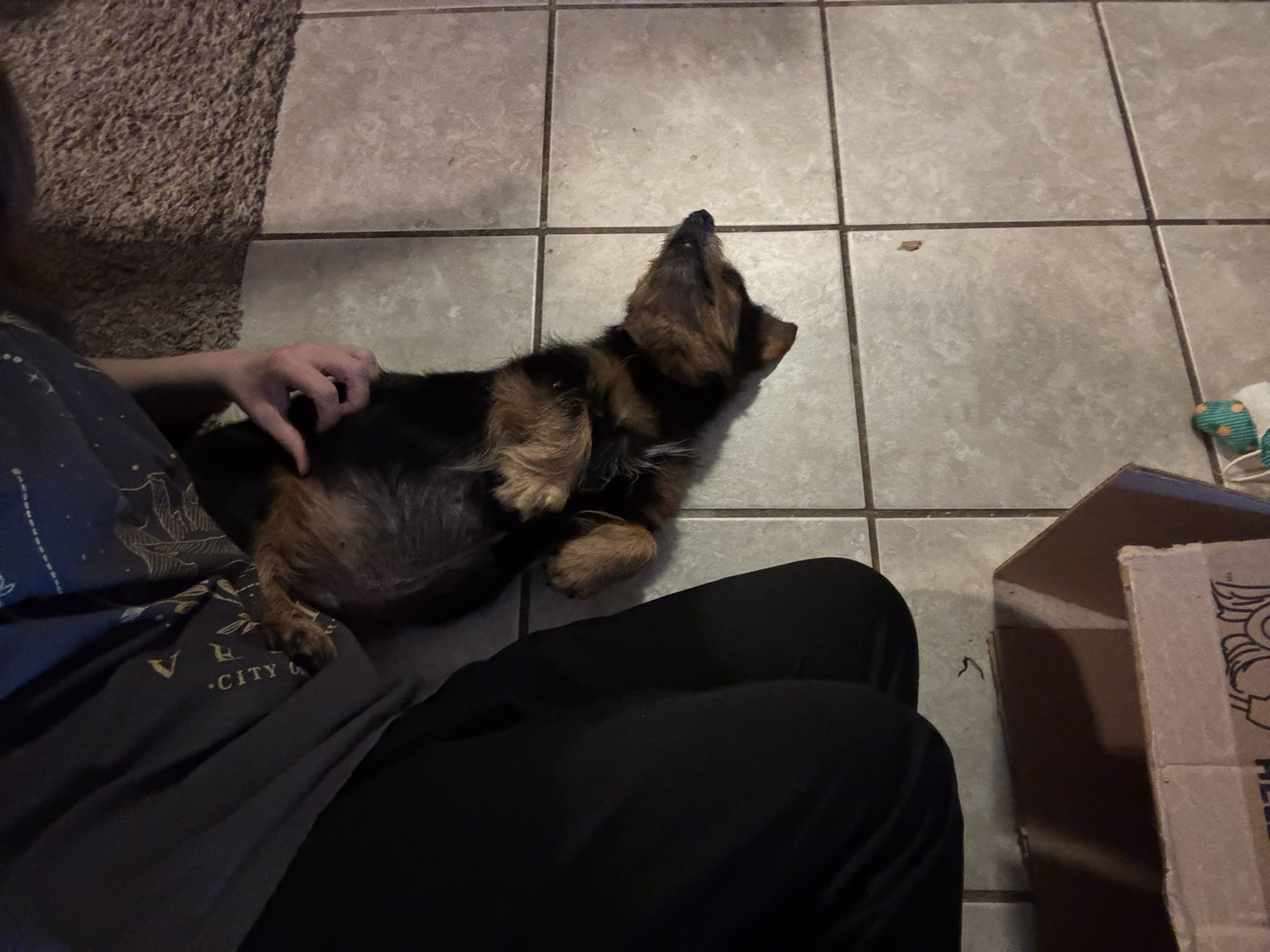 Getting those belly rubs!