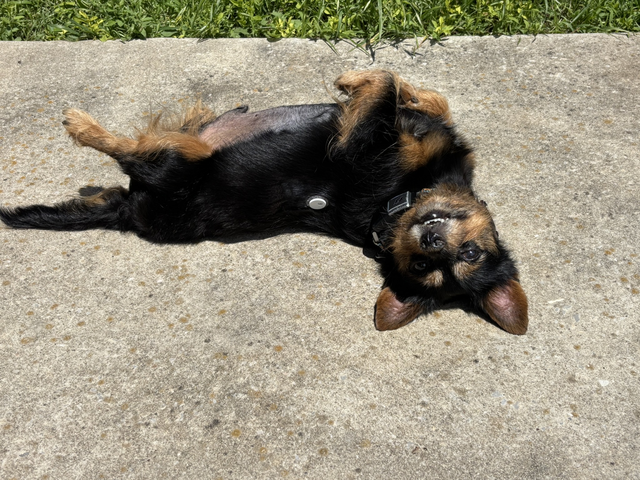 Enjoying the warmth of the sun