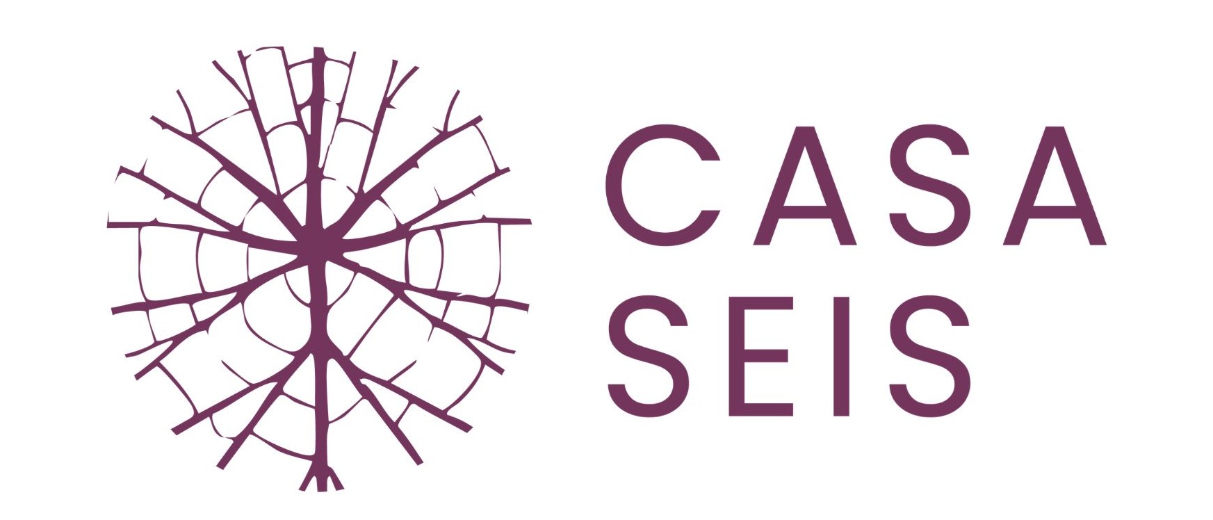 Casa Seis logo