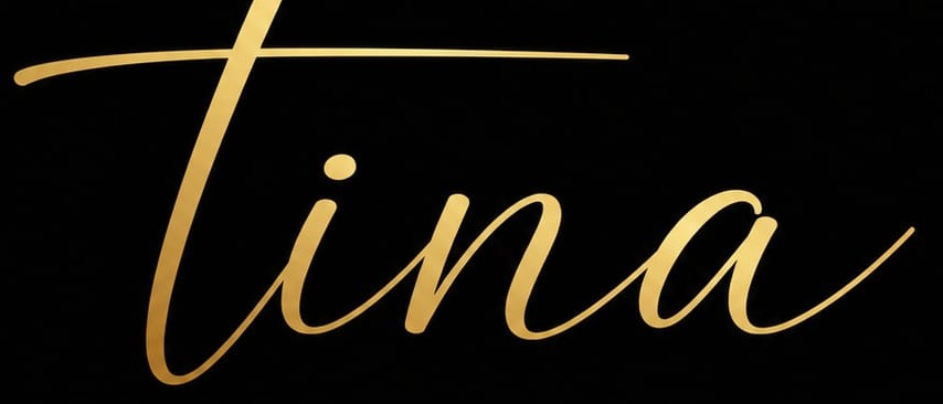 TINA STUDIO SPA logo