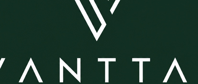 Vanttal Hair Studio logo