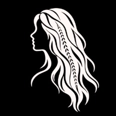 Pogue Soul Plumas logo