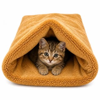 BOLSA DE DORMIR PARA MASCOTAS