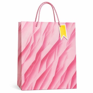BOLSA DE CARTON 26X 32X 10CM - Color: Rosa