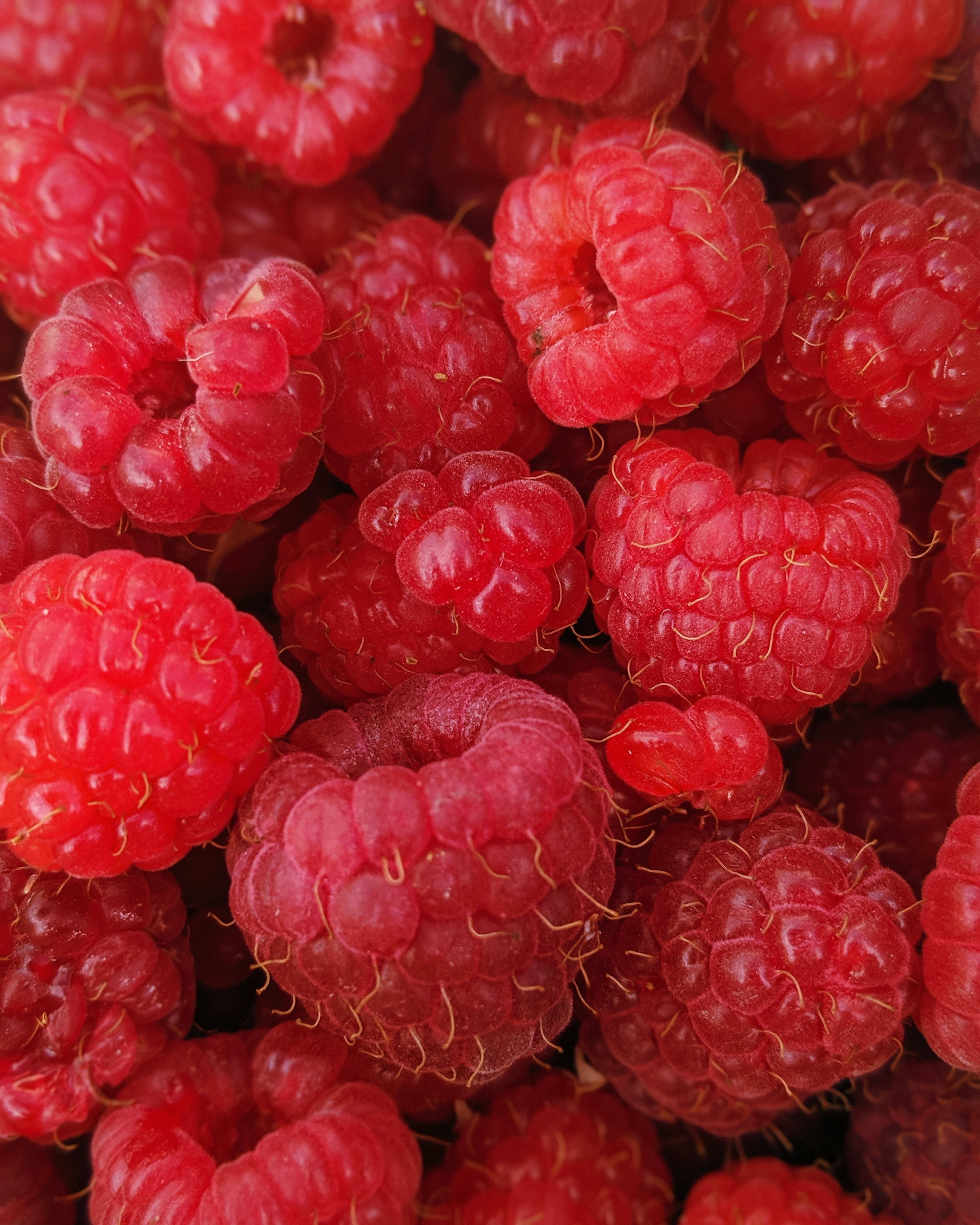 Fresh raspberries
