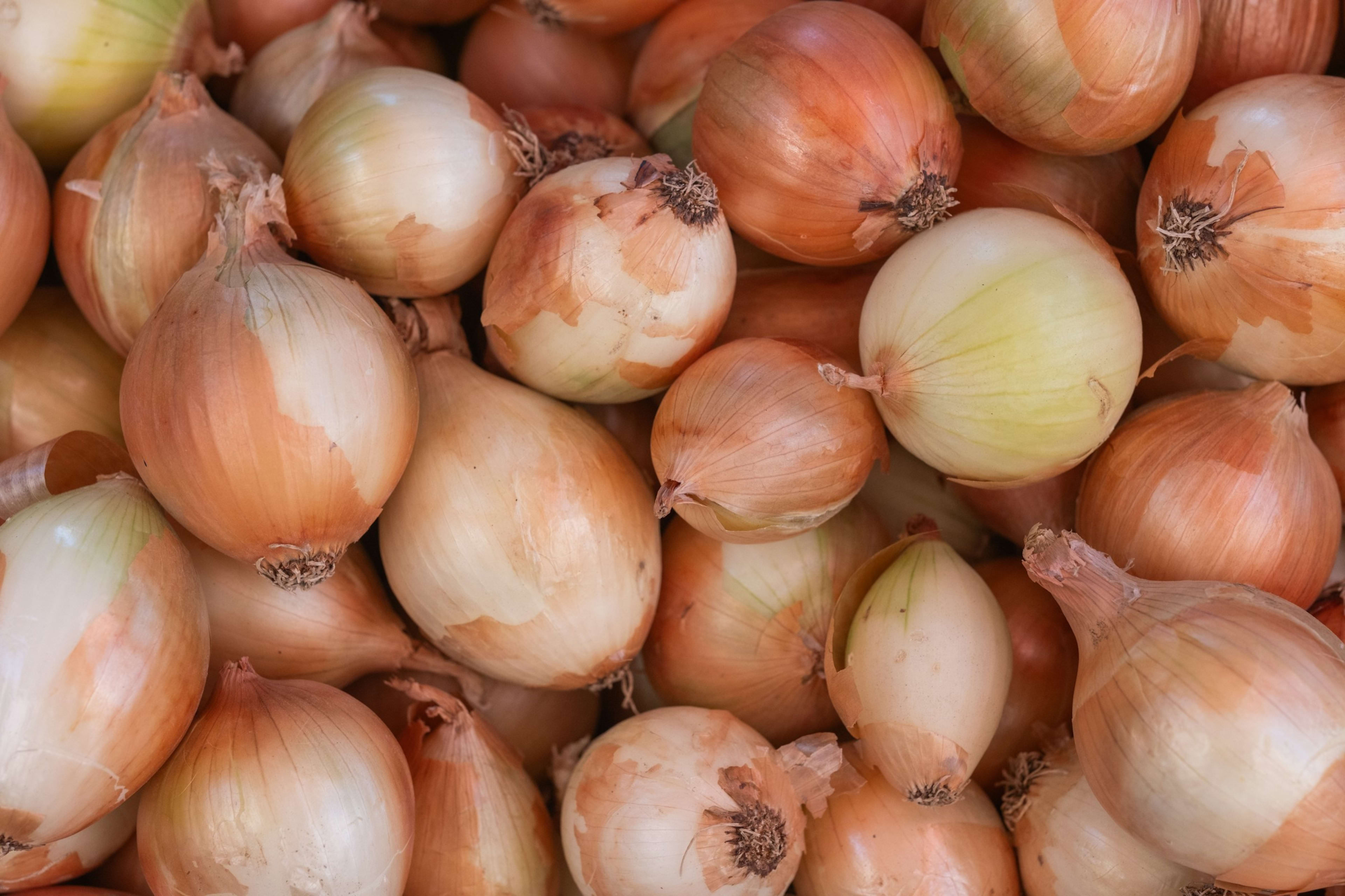Fresh onions