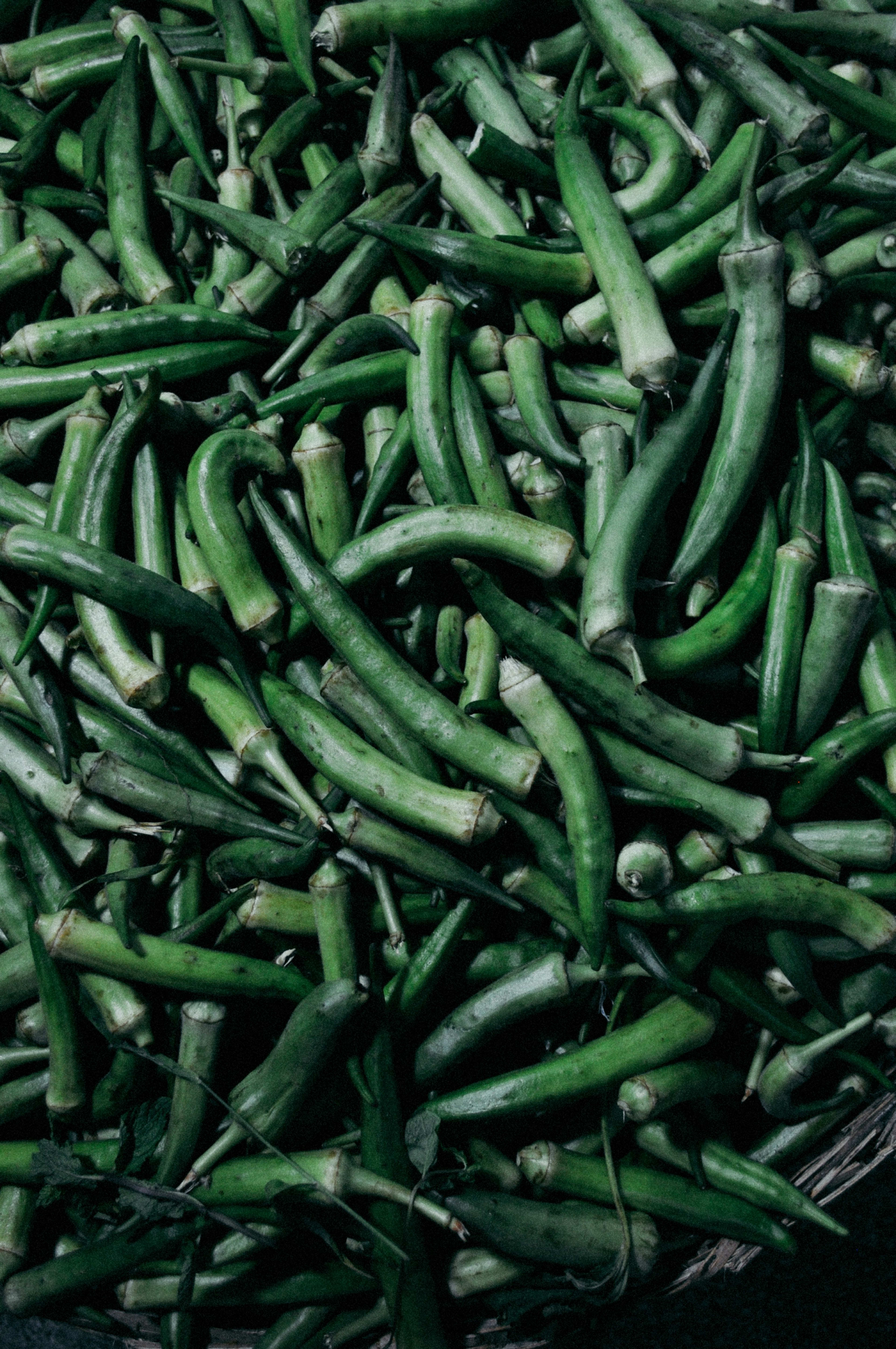 Okra pods