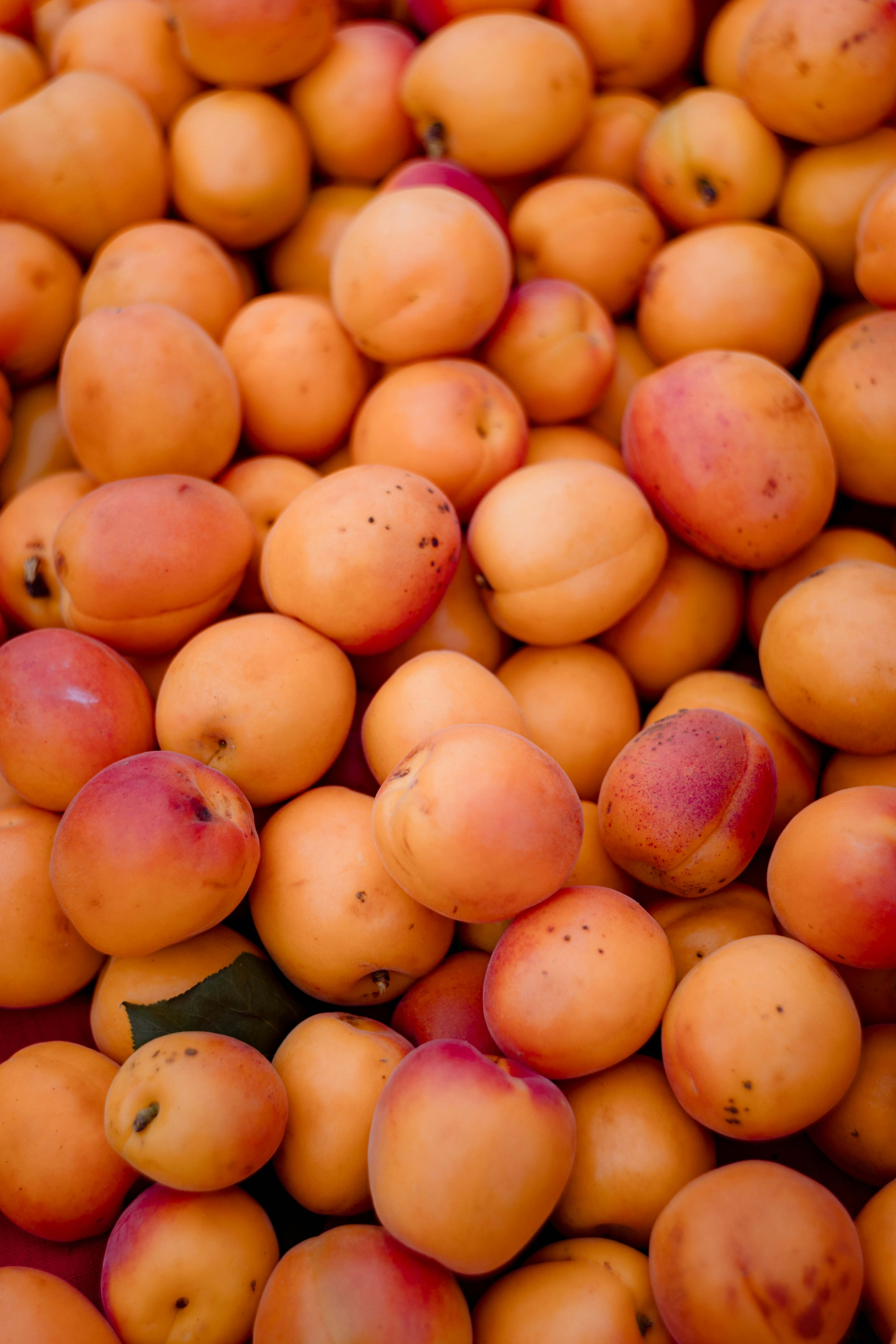 Fresh apricots