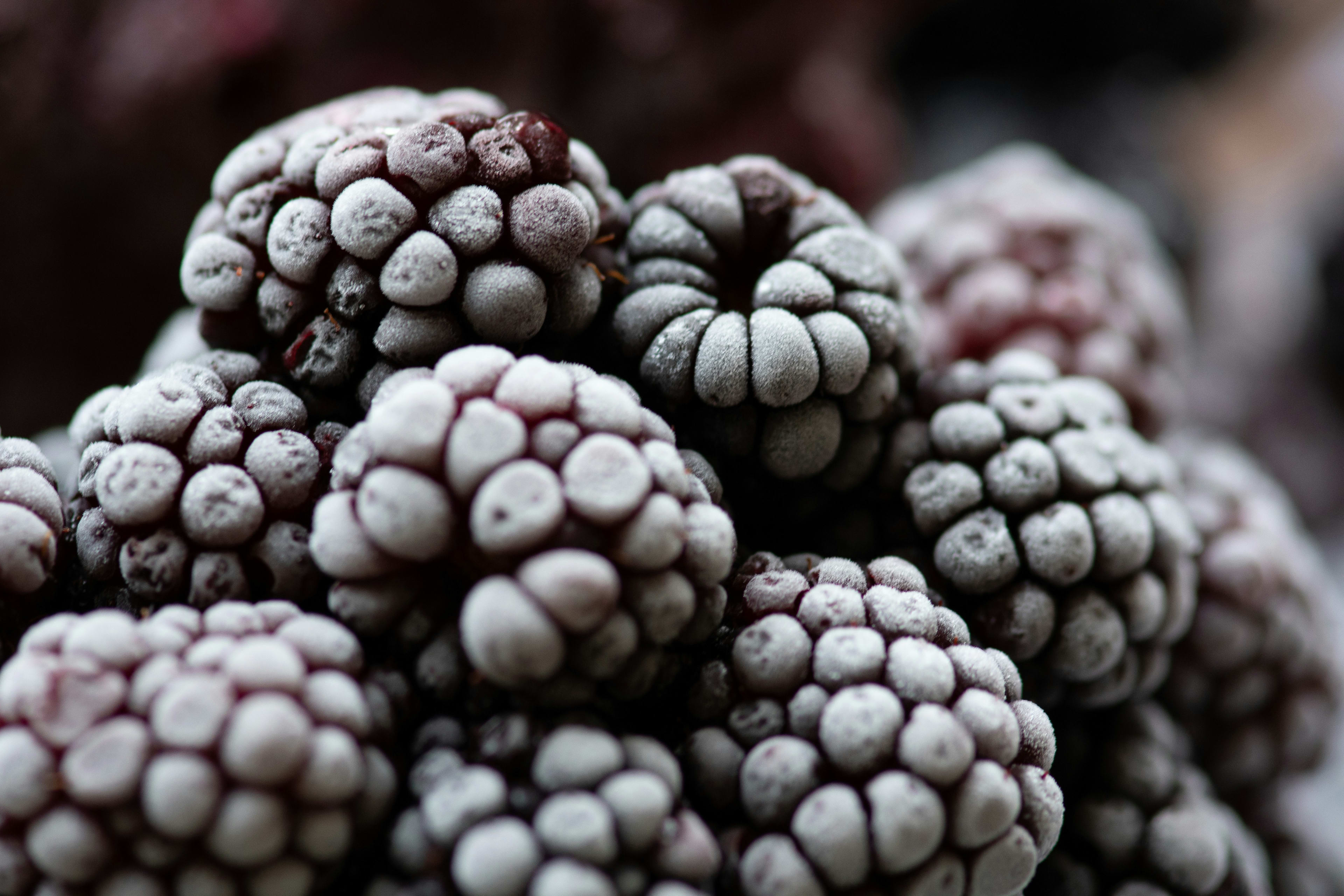 Fresh blackberries