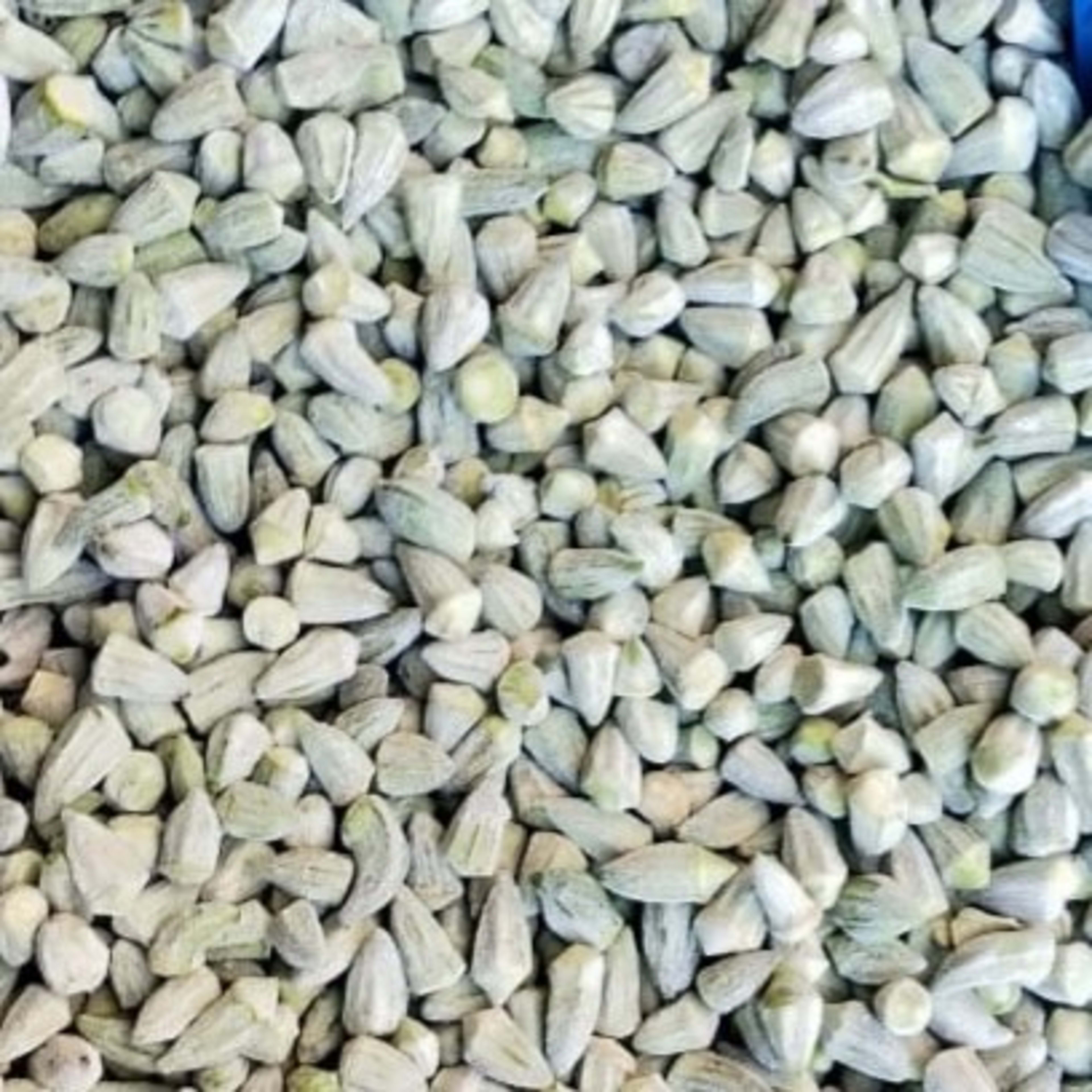 Okra pods