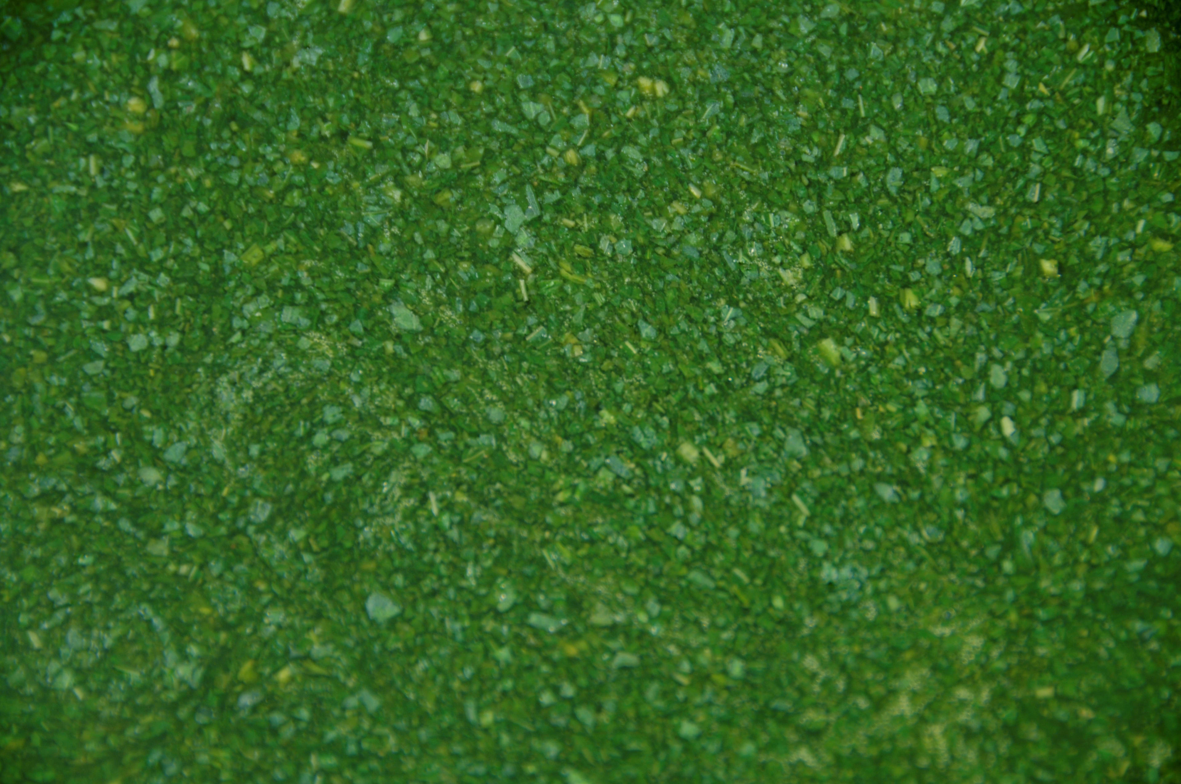Leafy greens