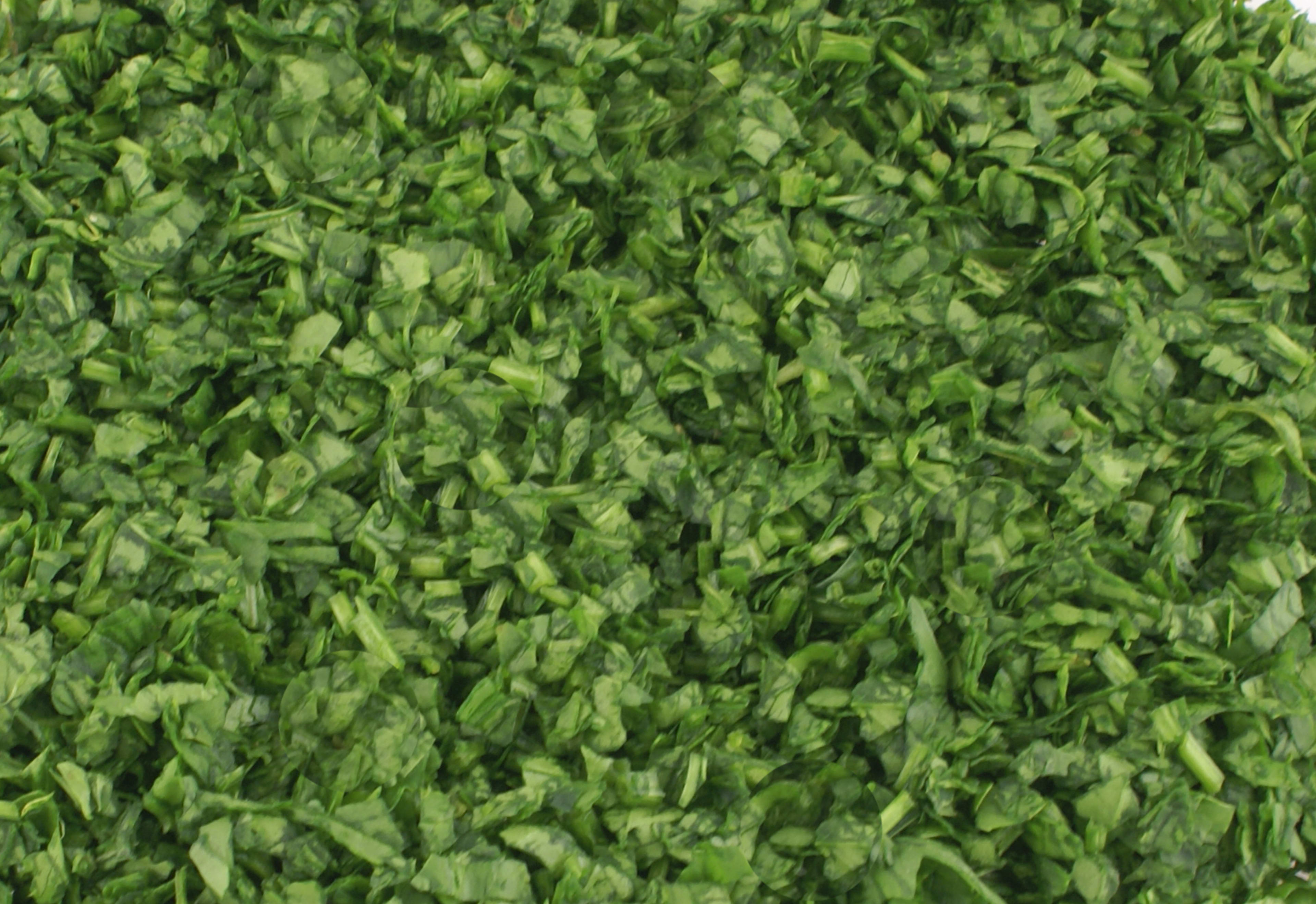 Fresh spinach leaves