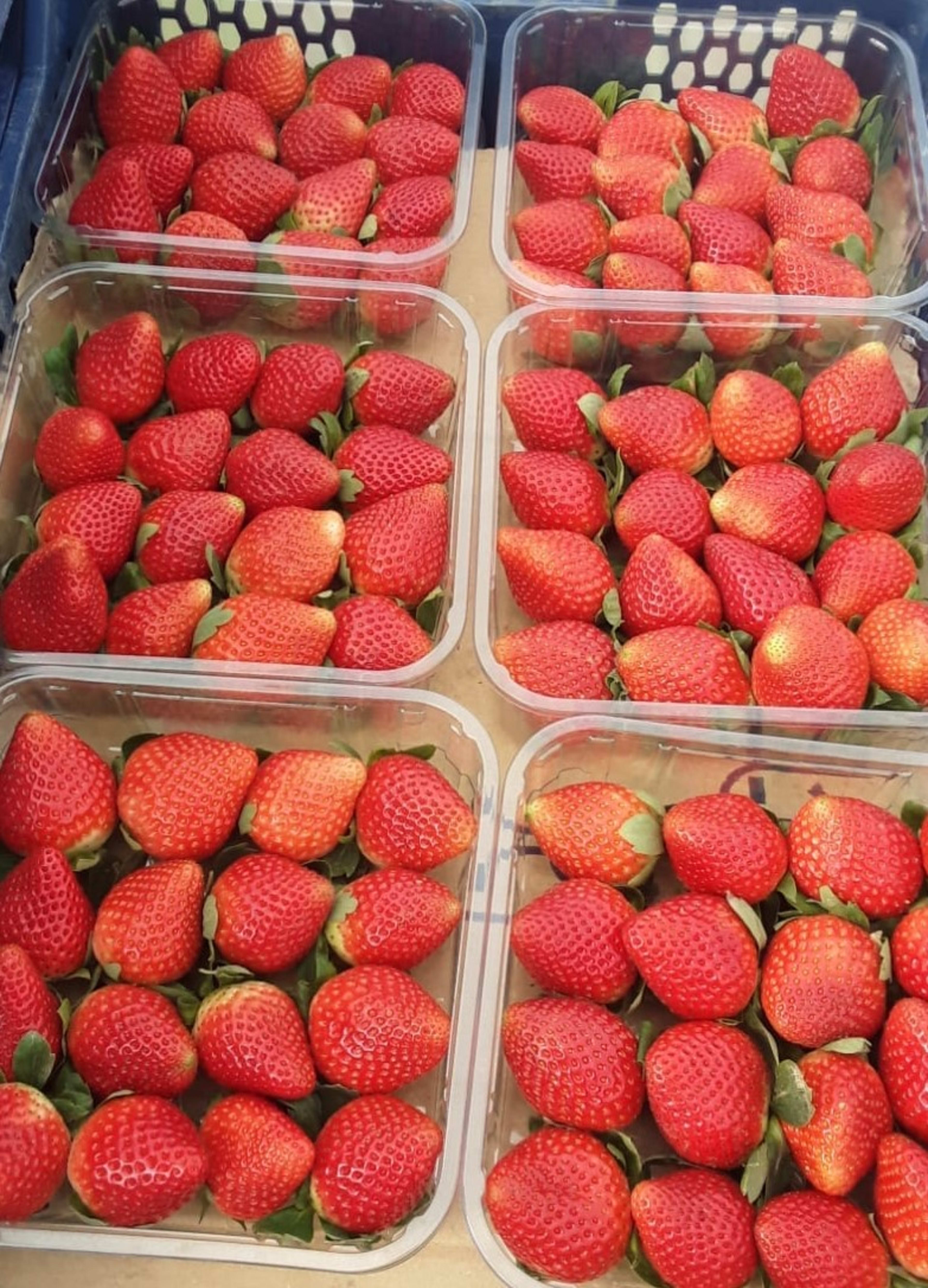 Strawberry