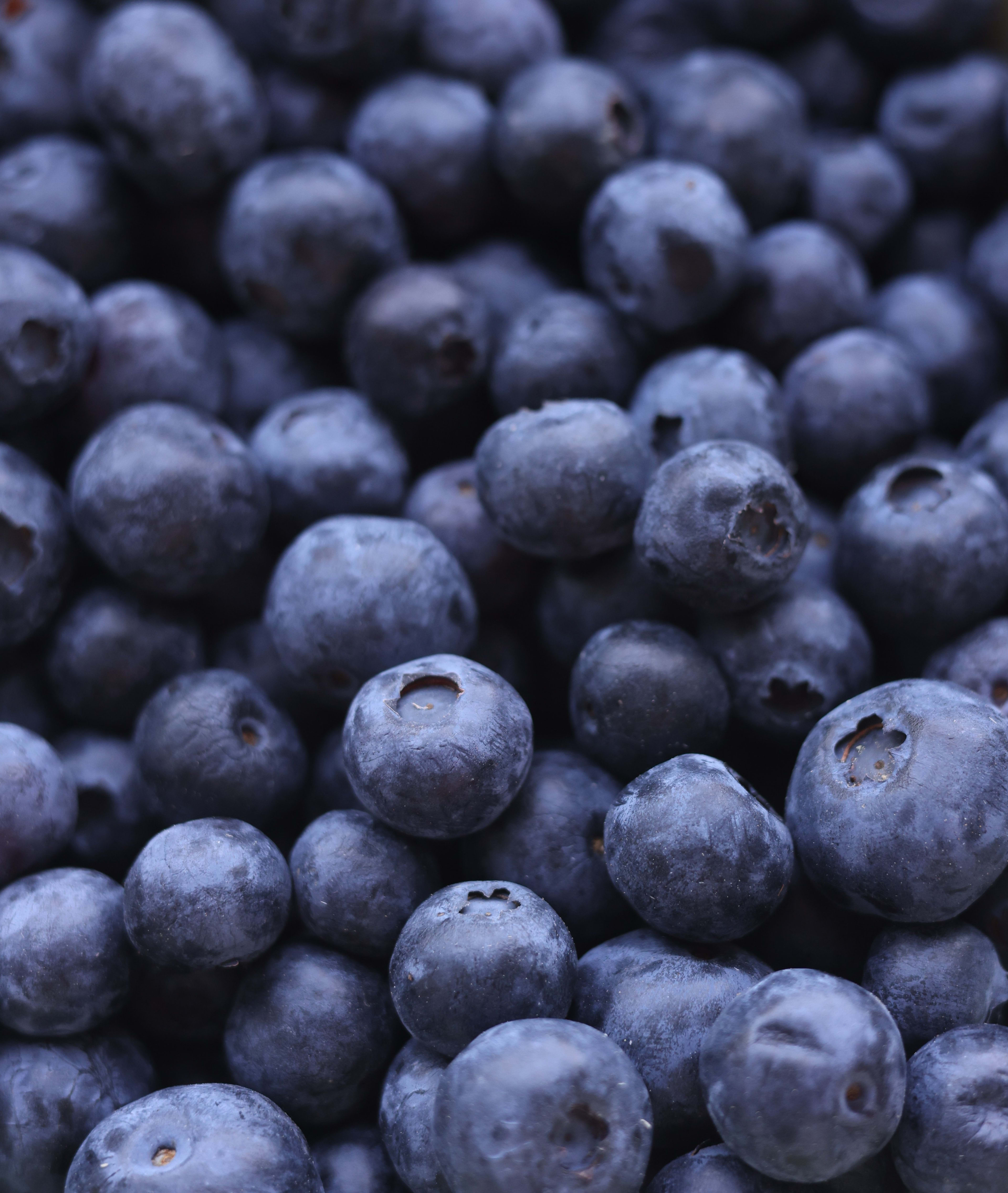 Fresh blueberries
