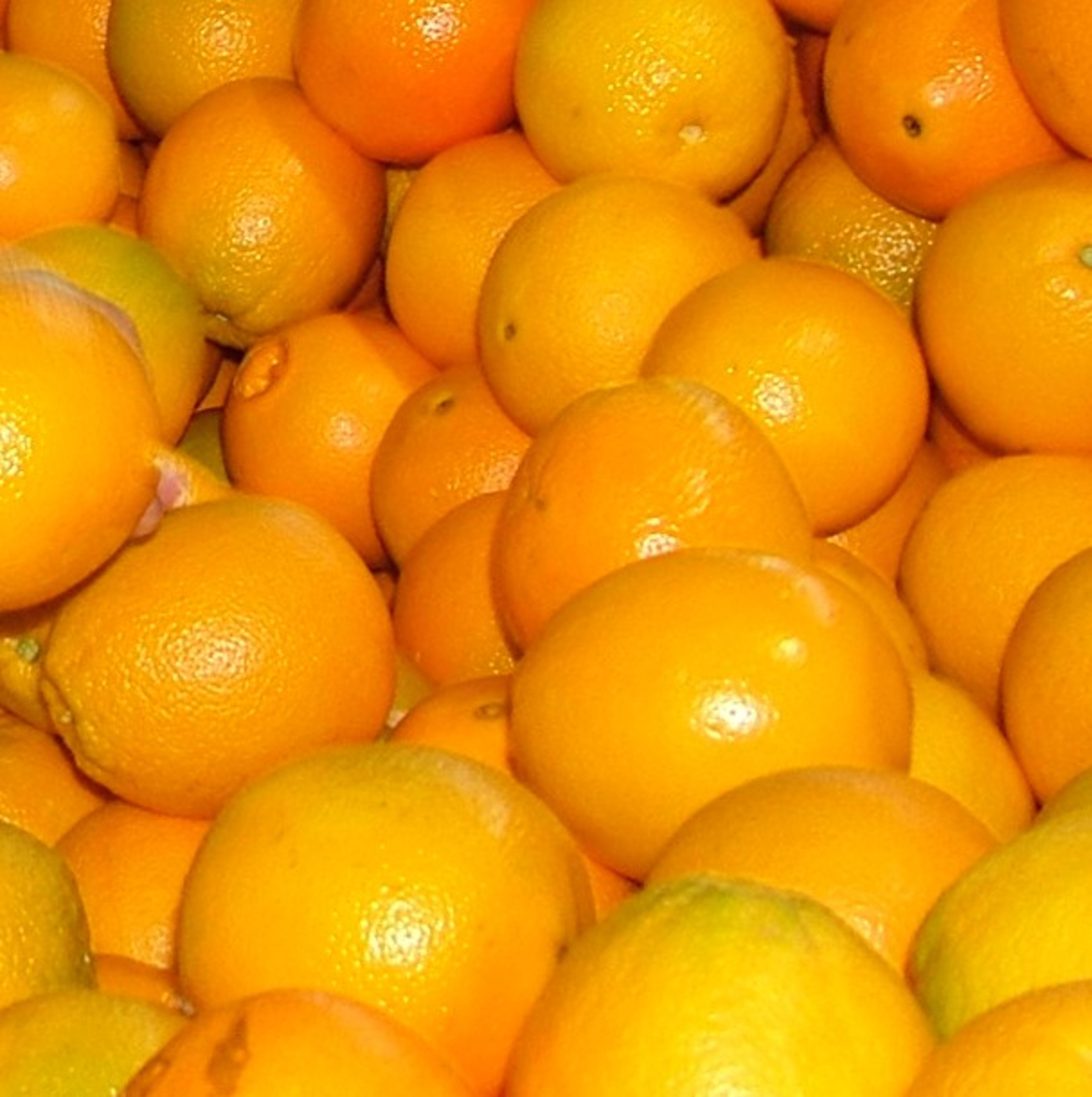 Fresh oranges