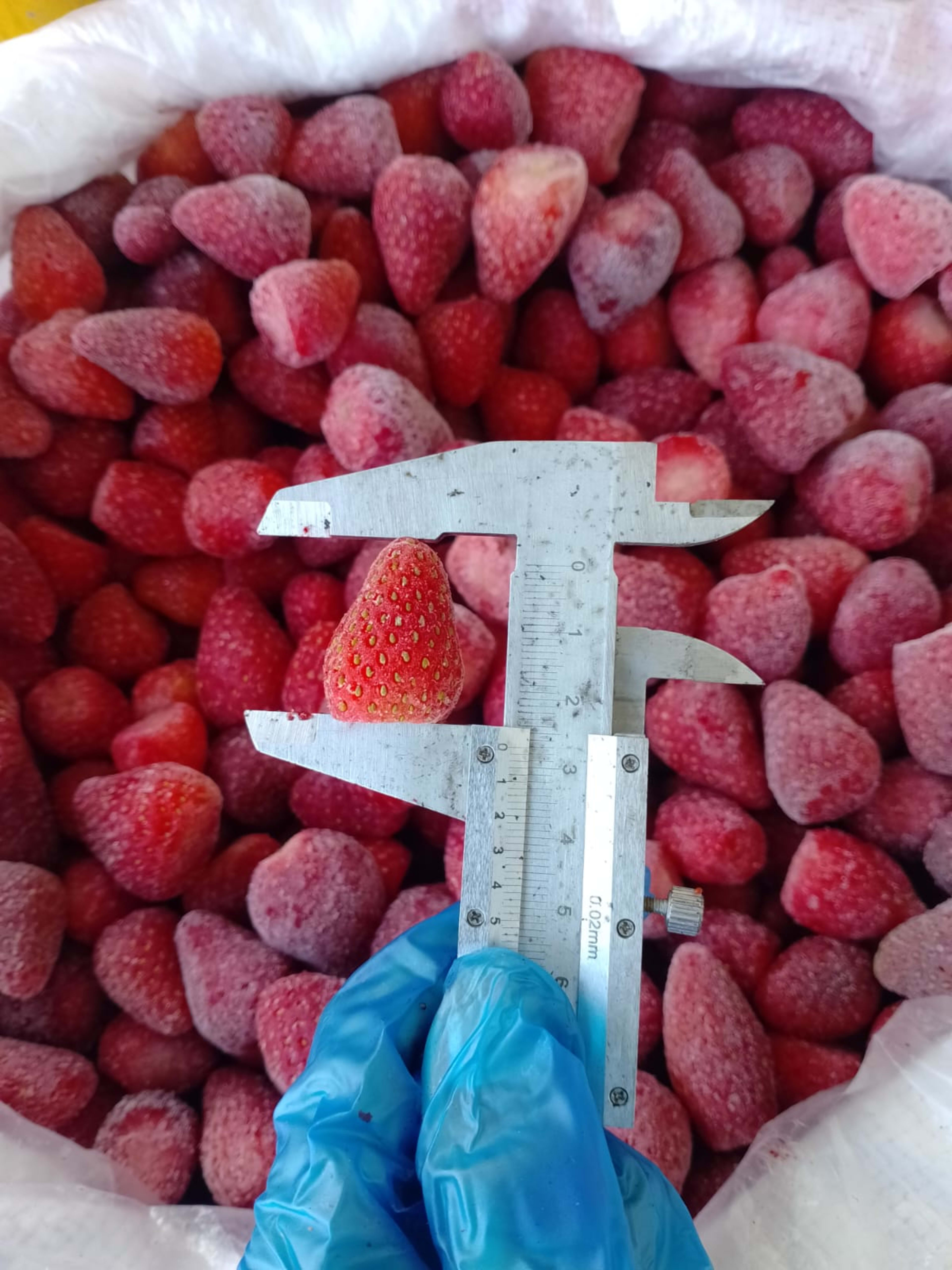 Frozen Strawberry 25
