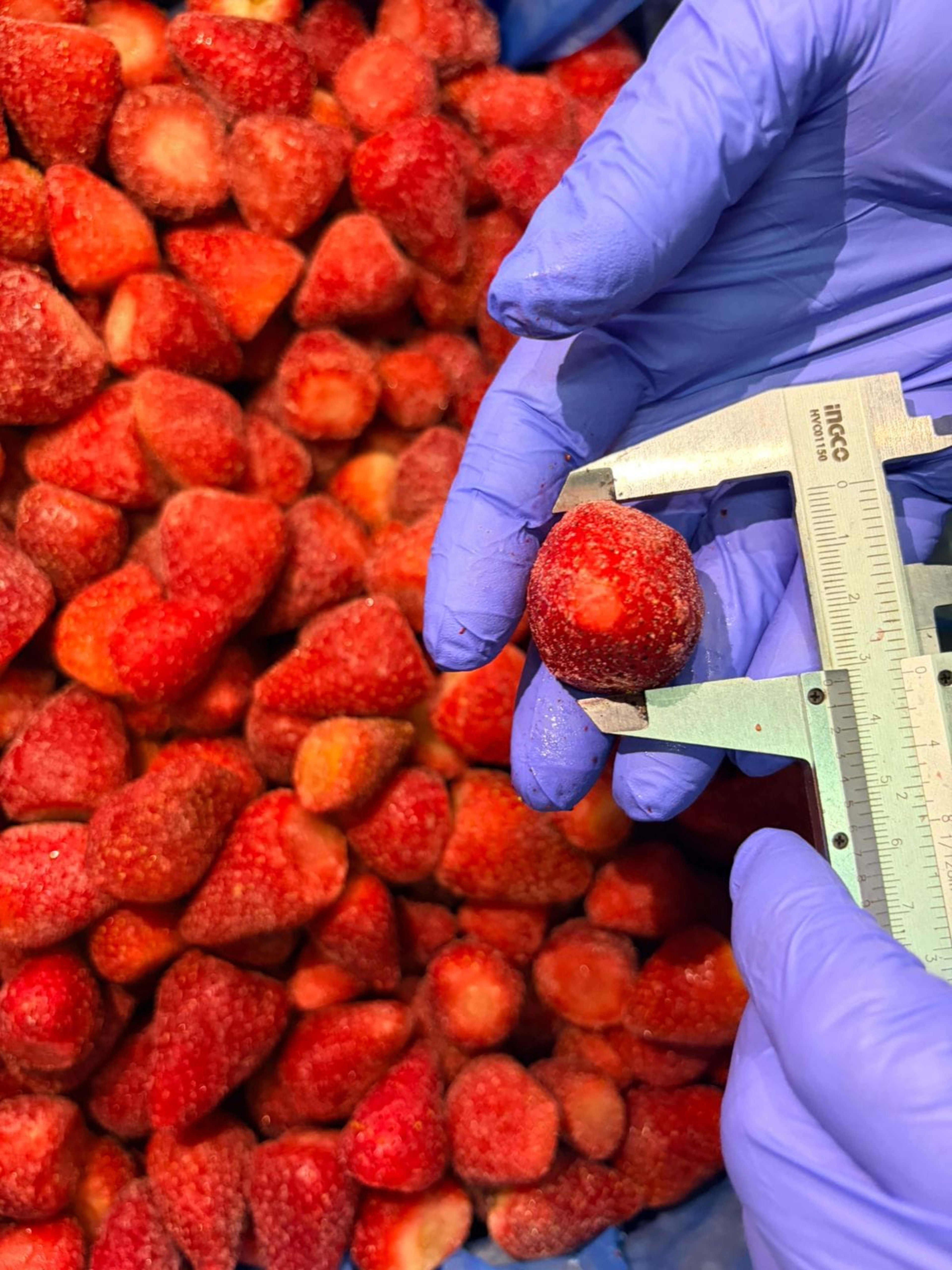 Frozen Strawberry 25