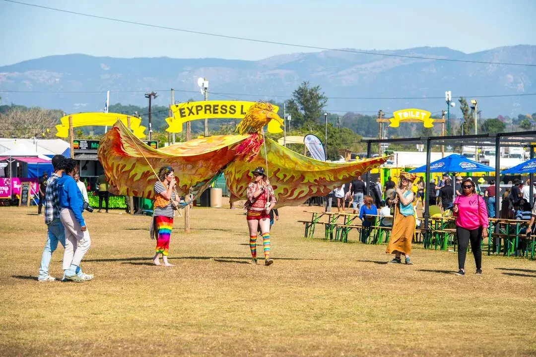 MTN Bushfire Festival