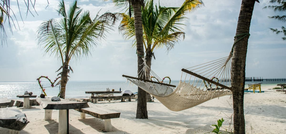Bush to Beach: Nairobi & Zanzibar