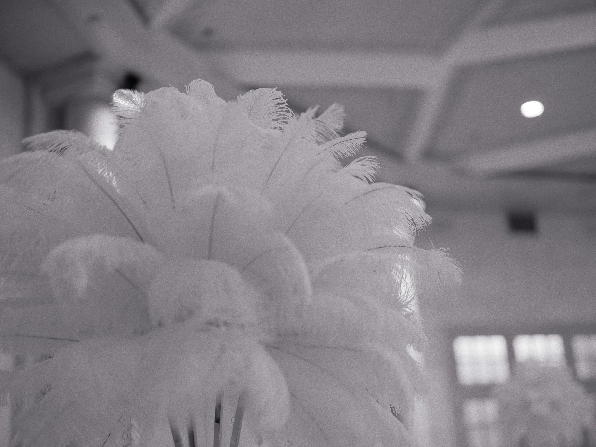 White feather centerpiece in the ballroom
