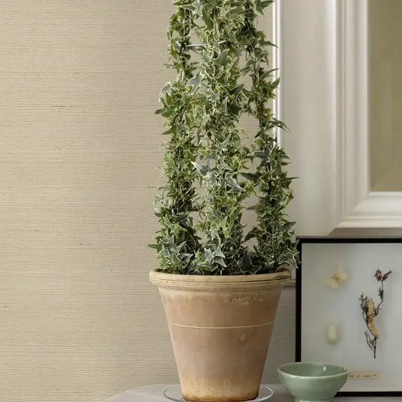 2972-54760_RoomAkenta-papel-de-colgadura-Coleccion-Loom_e0cpd3