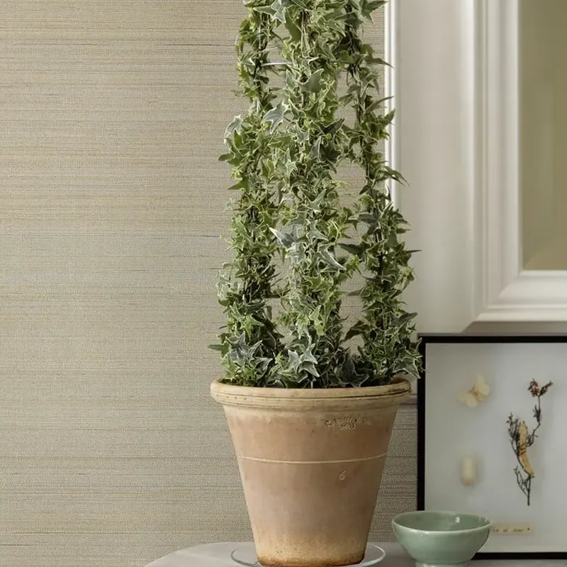 2972-54745_RoomAkenta-papel-de-colgadura-Coleccion-Loom_l4tajt