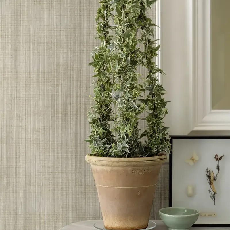 2972-86175_RoomAkenta-papel-de-colgadura-Coleccion-Loom_l0hwvd