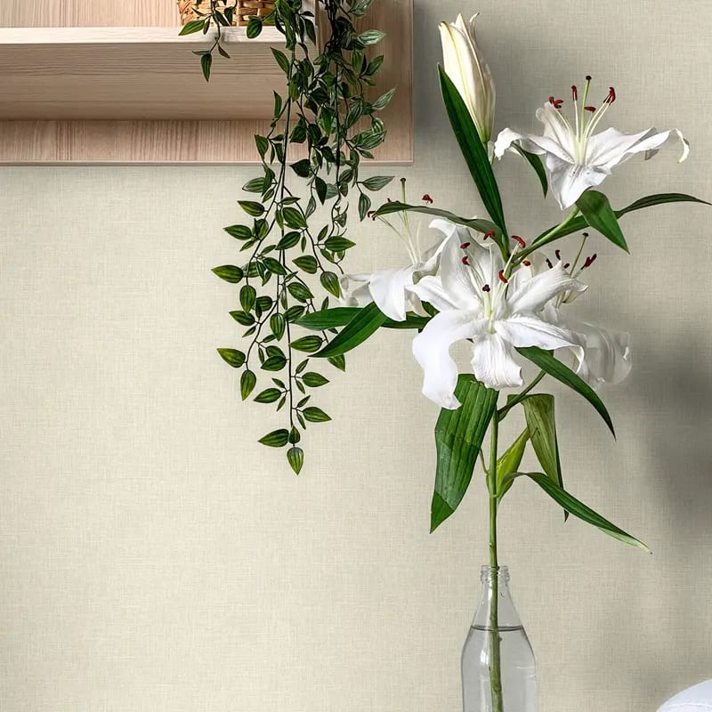 Ref_4144-9119_Room_papel_de_colgadura_b1gdtb