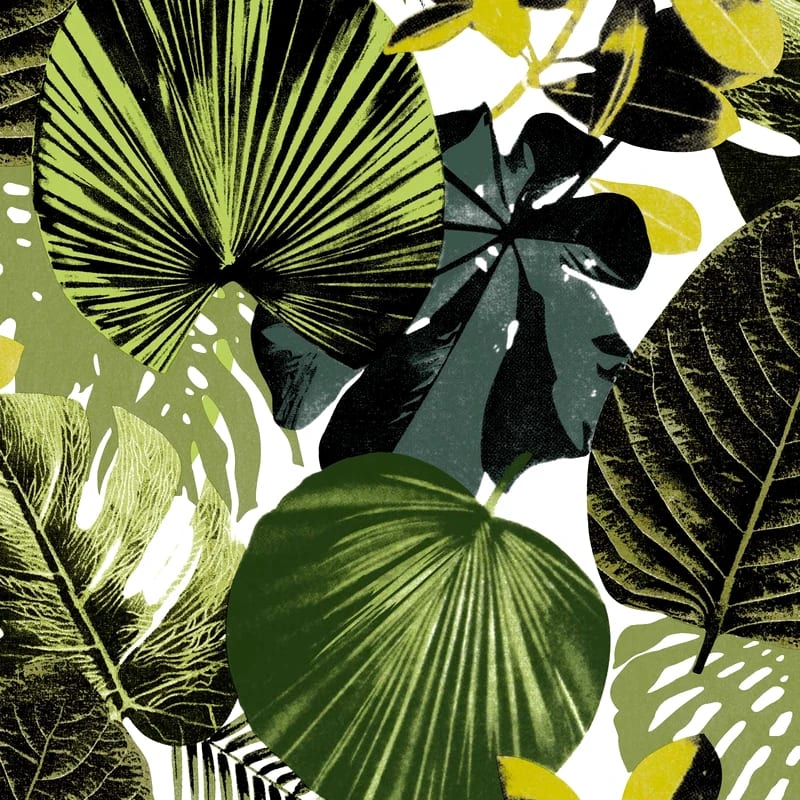 LV-10065-papel-de-colgadura-AKENTA_koq1m7