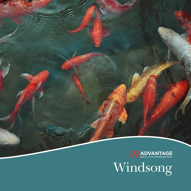 Windsong Cover_Akenta_Papel_de_colgadura_ajtade