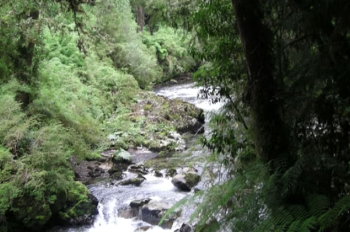 Aguas Calientes CONAF