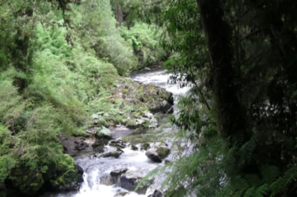 Aguas Calientes CONAF – PN Puyehue — sector Aguas Calientes