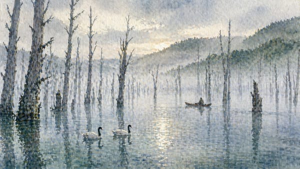Chepu – Chepu-region los lagos