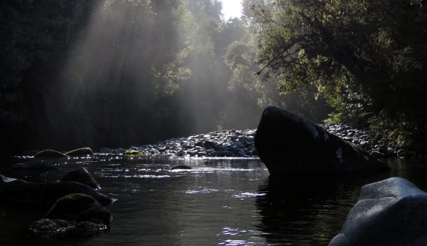 Sendero Rápidos del Chanleufu – PN Puyehue — sector Aguas Calientes