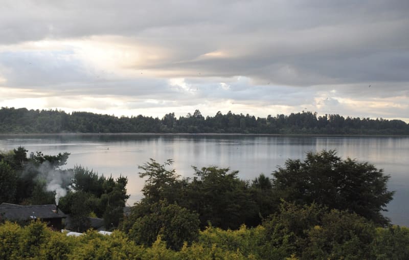 Puyehue Anticura + senderos concesionados