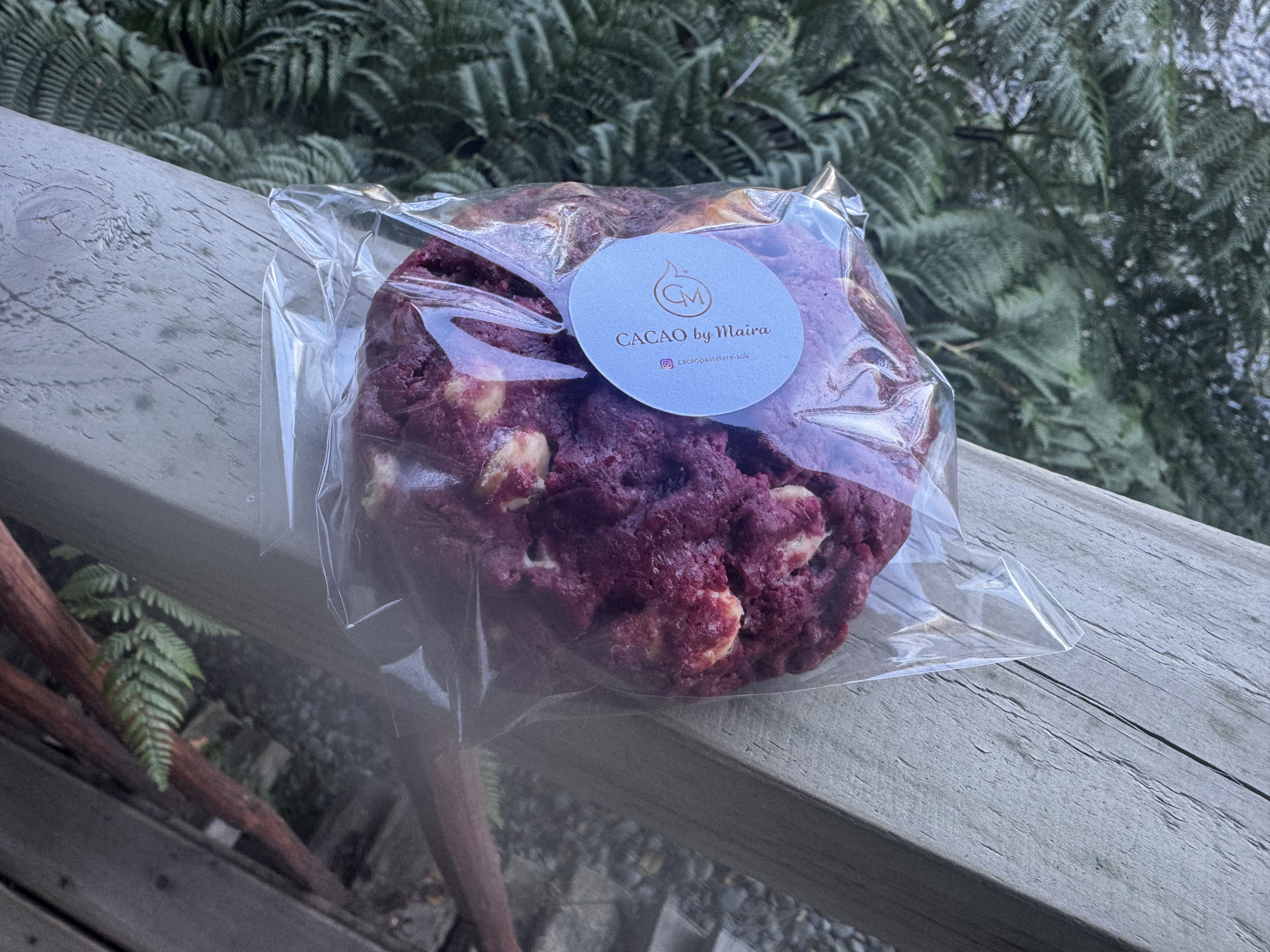 CACAO Galleton - foto 2