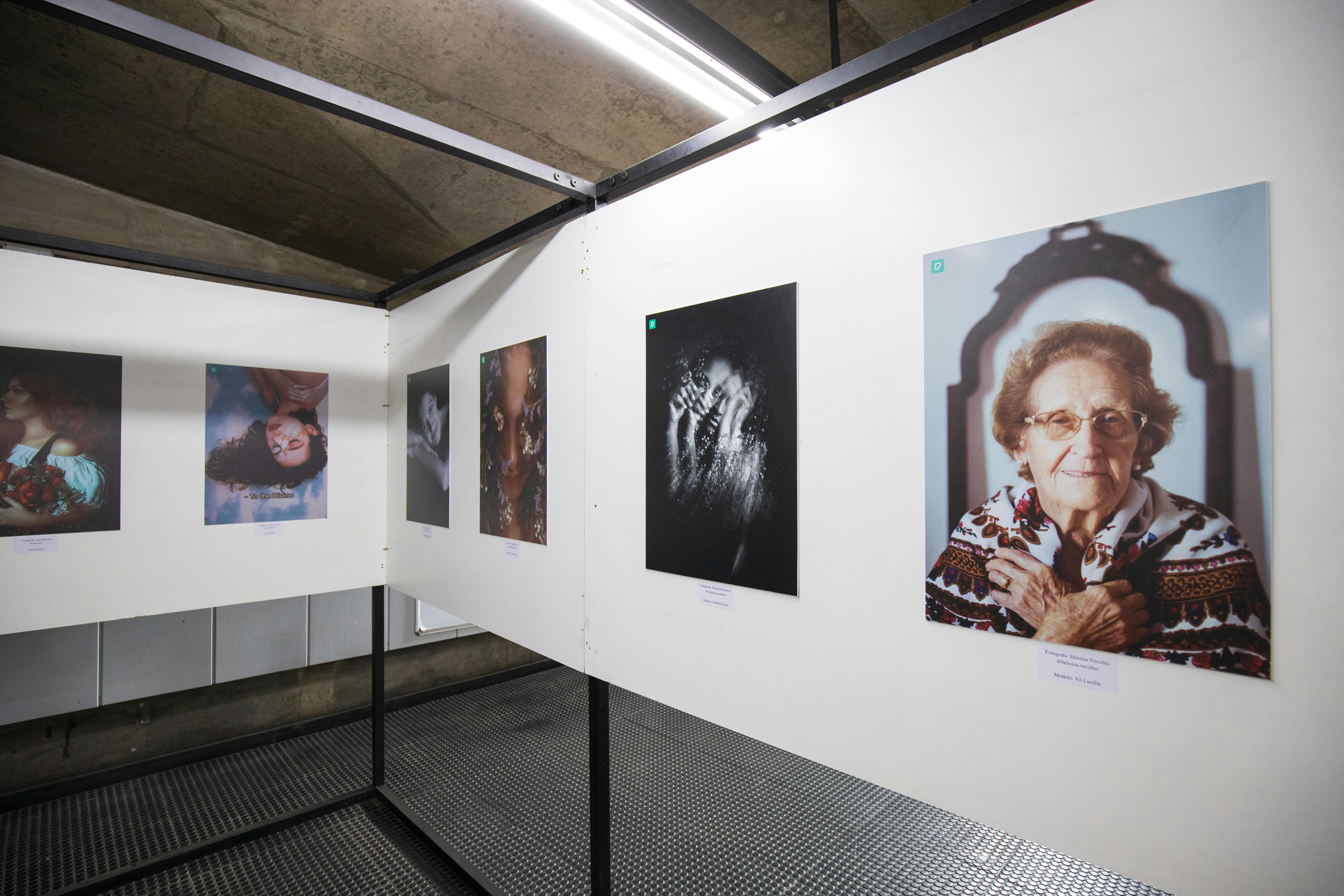 Elderly woman viewing portrait photographs in gallery exhibition demonstrating authentic visitor engagement with artwork
