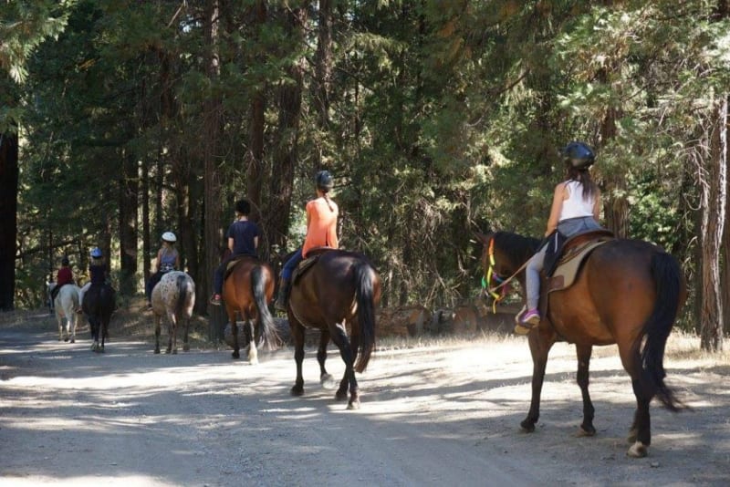 Camp photo 3