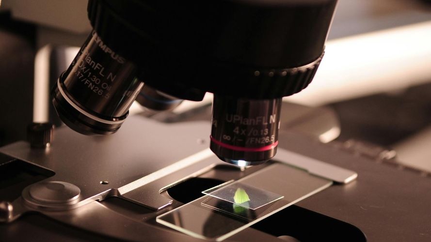 Day vs overnight STEM camps: What first-time parents should know