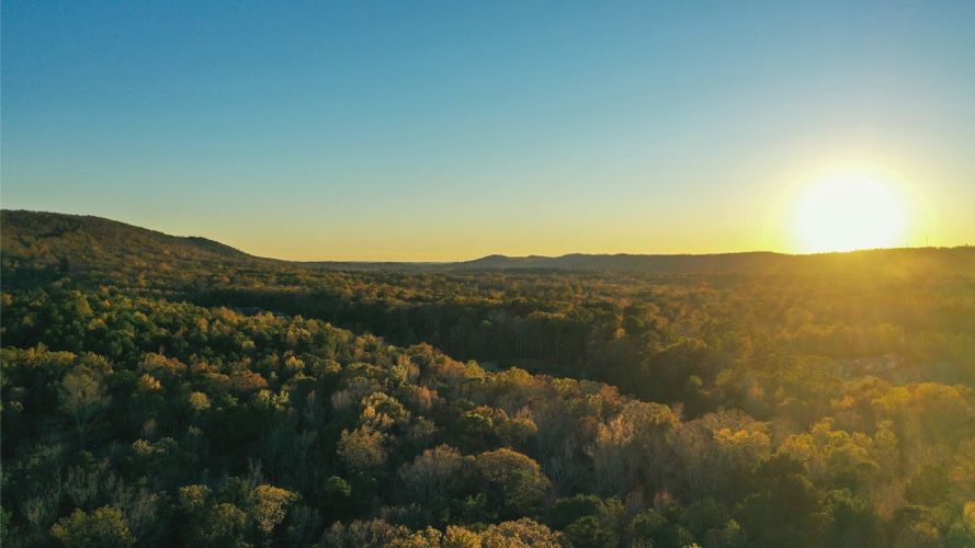 The best summer camps in Alabama, USA.
