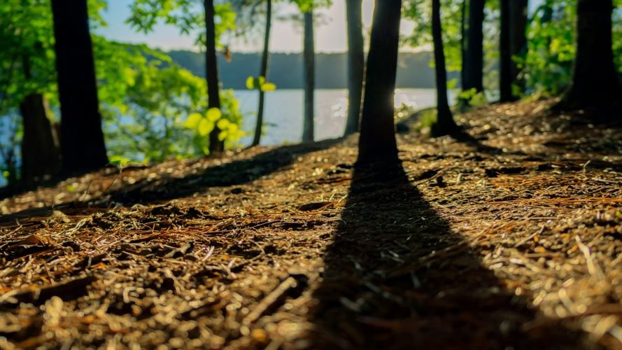The best summer camps in Georgia, USA.