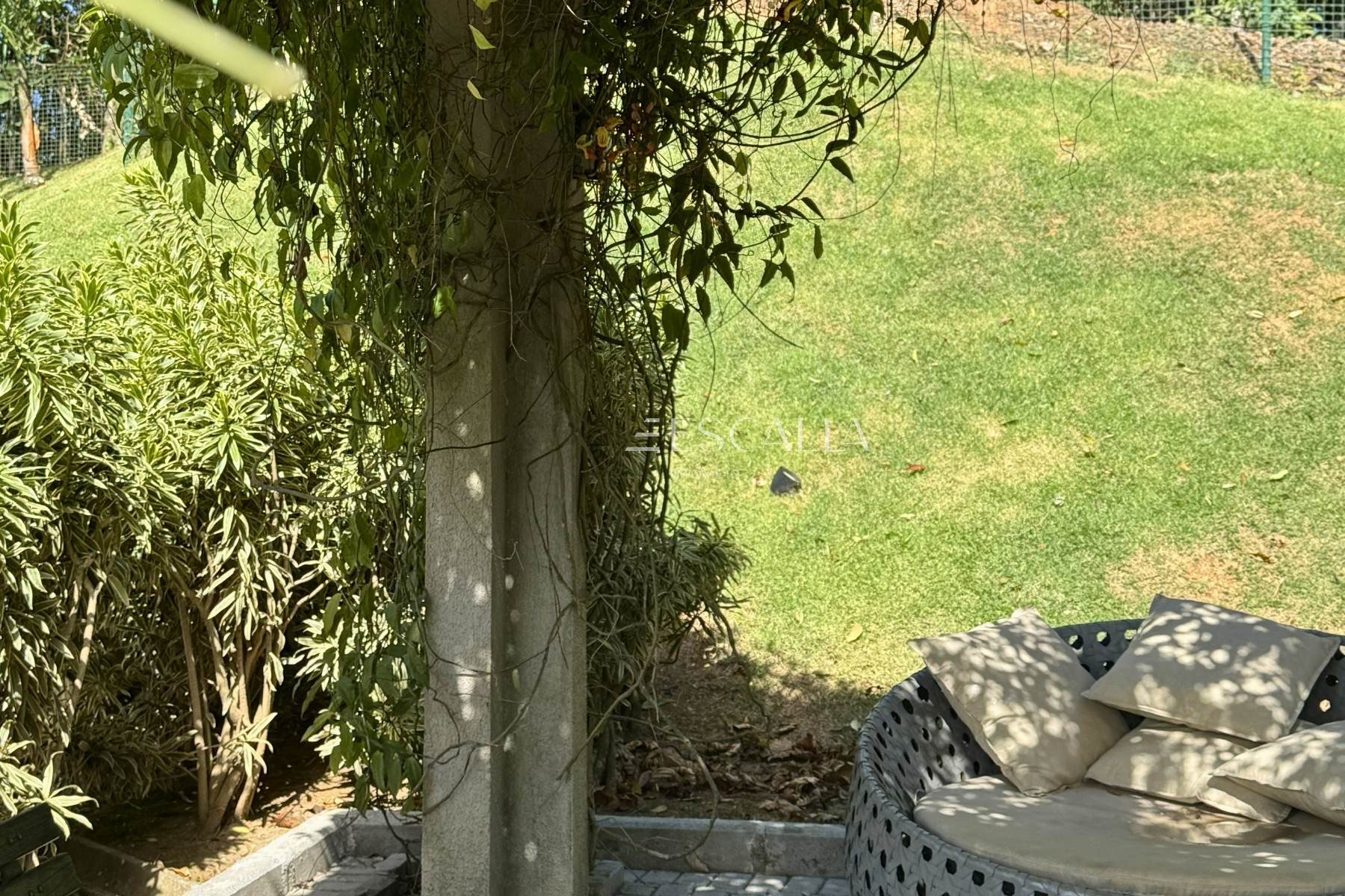 Foto 23