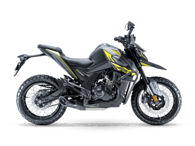 RKS RZ125X